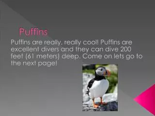 Puffins