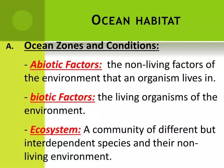 ocean habitat