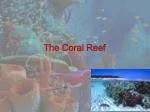 The Coral Reef - slide 1