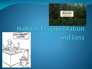 Habitat Fragmentation and Loss