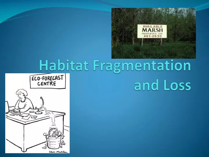 habitat fragmentation and loss