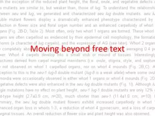 Moving beyond free text