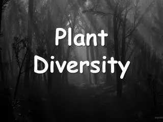 Plant Diversity