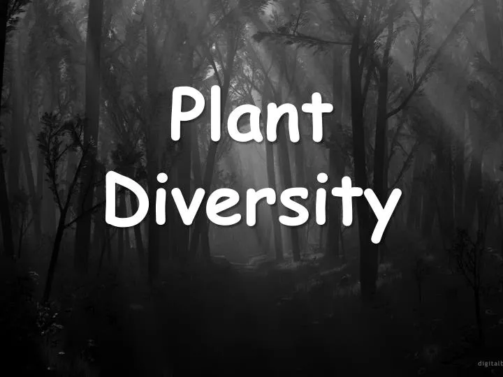 plant diversity