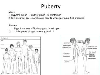 Puberty