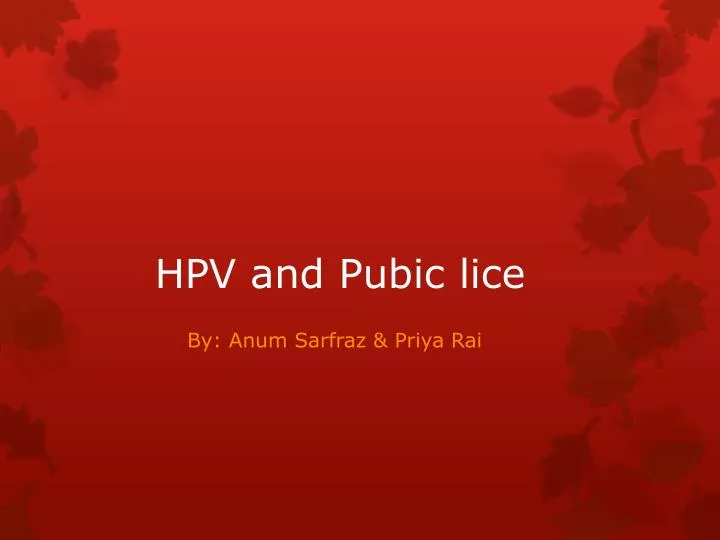 hpv and pubic lice