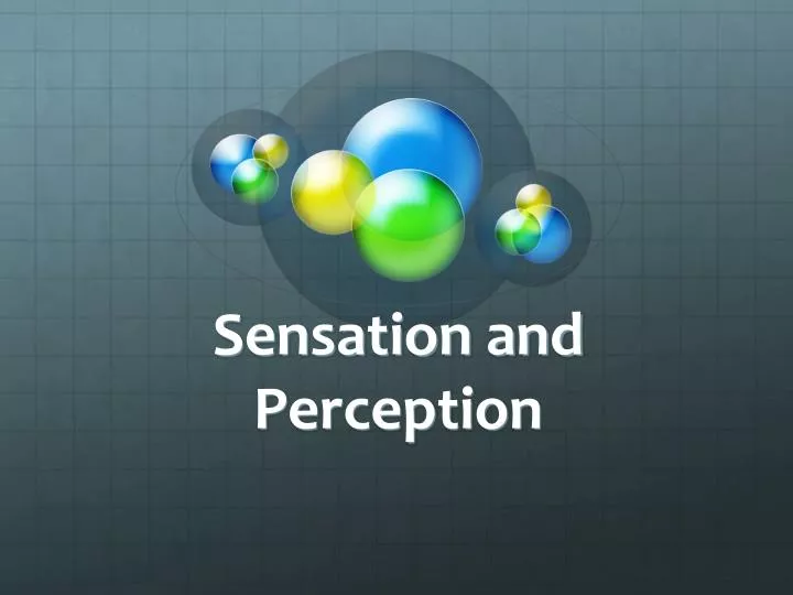 sensation and perception