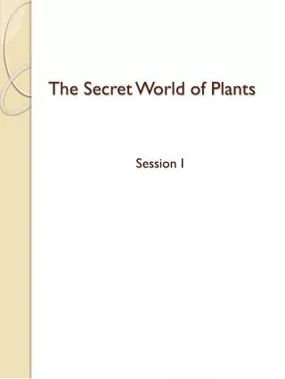 the secret world of plants