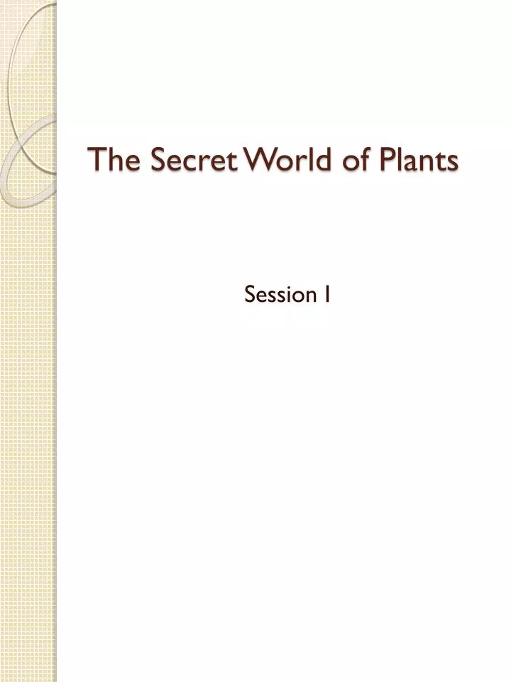 the secret world of plants
