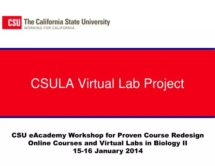 csula virtual lab project