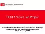 Redesigning Online Biology Labs: CSULA's Innovative Approach for Enhanced Learning - slide 1