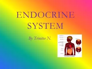 Endocrine System