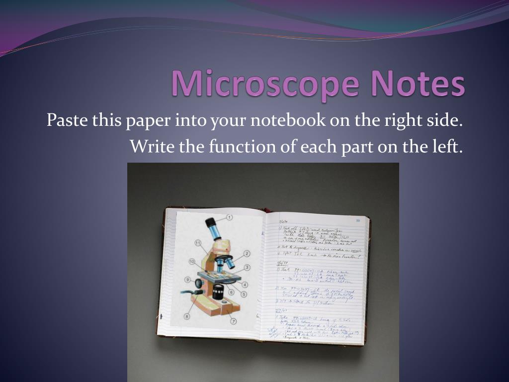 PPT - Microscope Notes PowerPoint Presentation, free download - ID:2587869