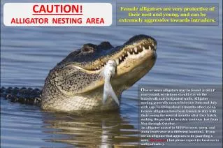 CAUTION ! ALLIGATOR NESTING AREA