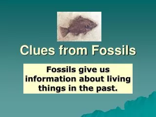 Clues from Fossils