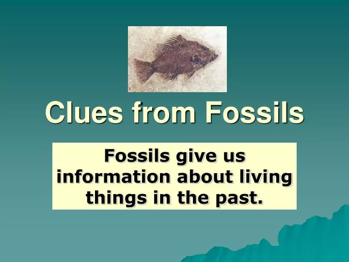 clues from fossils