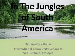 In The Jungles of South America