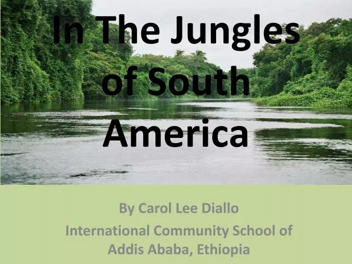 in the jungles of south america