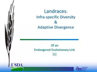 Landraces : Infra-specific Diversity &amp; Adaptive Divergence