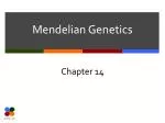 Mendelian Genetics - slide 1