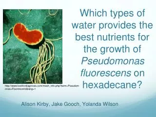 lookfordiagnosis / mesh_info.php?term = Pseudomonas+Fluorescens&amp;lang =1