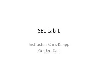 SEL Lab 1