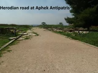 Herodian road at Aphek Antipatris
