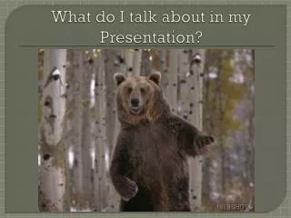 What do I talk about in my Presentation?