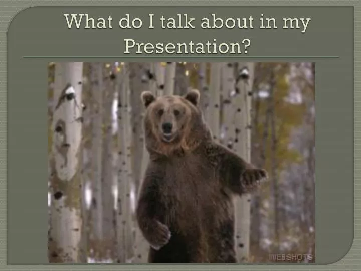 what do i talk about in my presentation