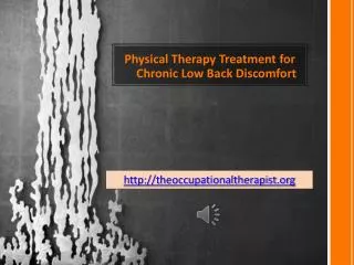 Physical Therapy Treatment for Chronic Low Back Discomfort