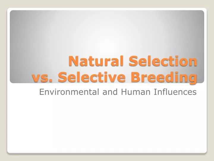 natural selection vs selective breeding
