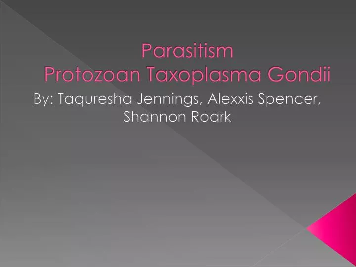parasitism protozoan taxoplasma gondii