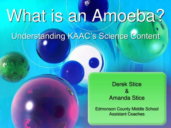 what is an amoeba