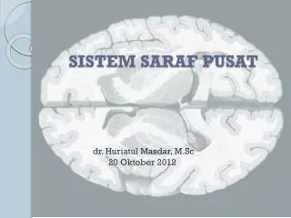 sistem saraf pusat