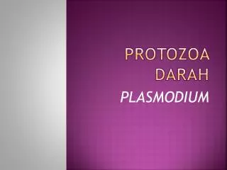 protozoa darah