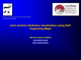 Joint seismic attributes visualization using Self-Organizing Maps