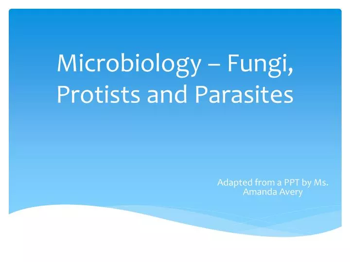 microbiology fungi protists and parasites