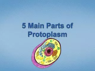 5 Main Parts of Protoplasm