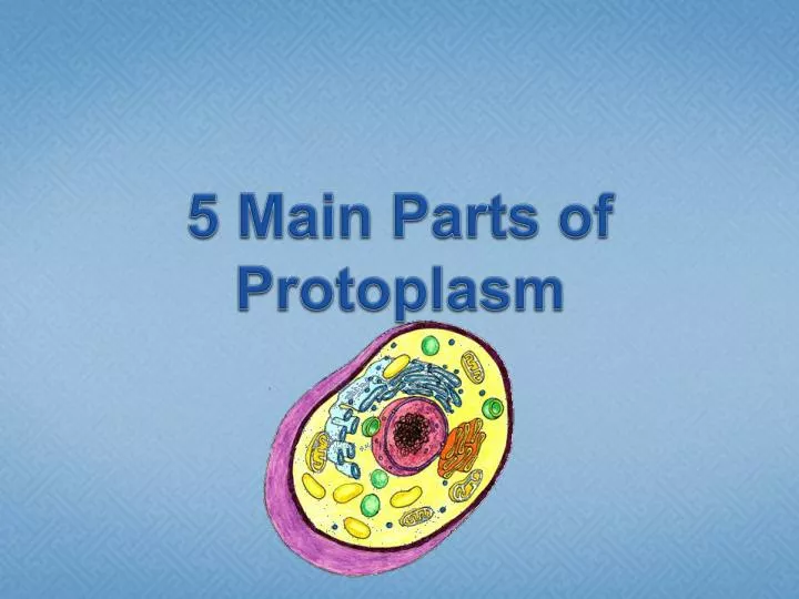 5 main parts of protoplasm