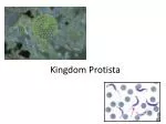 Introduction to Protists: Diversity, Classification, and Ecological Importance - slide 1