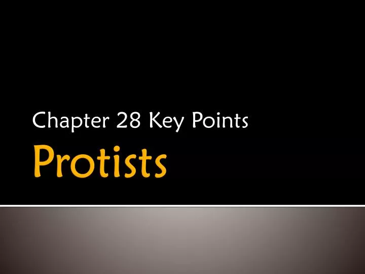 chapter 28 key points