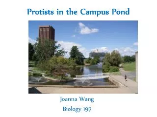 Protists in the Campus Pond