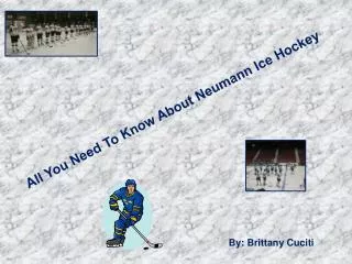 All You Need To Know About Neumann Ice Hockey