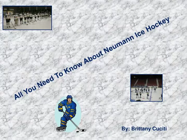 all you need to know about neumann ice hockey