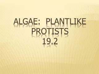 Algae: Plantlike Protists 19.2