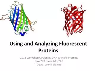 Using and Analyzing Fluorescent Proteins