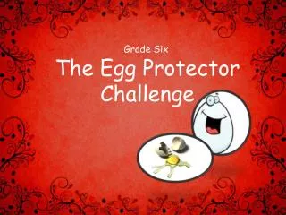 The Egg Protector Challenge