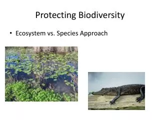 Protecting Biodiversity