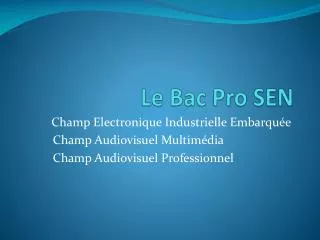 le bac pro sen