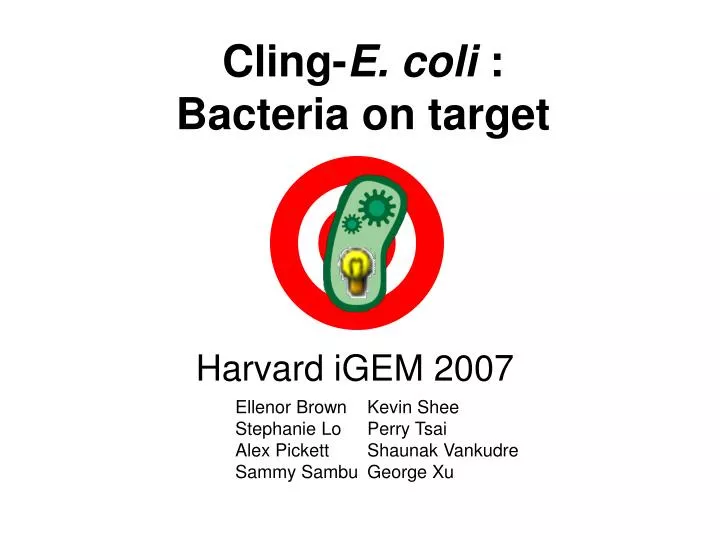 cling e coli bacteria on target